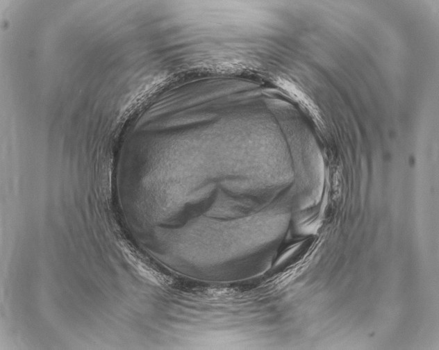 X0000086940493200705071422