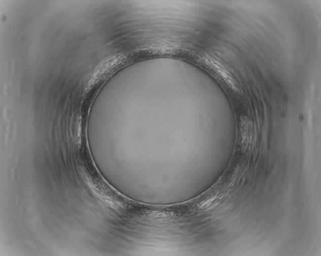 X0000086940494200705071422