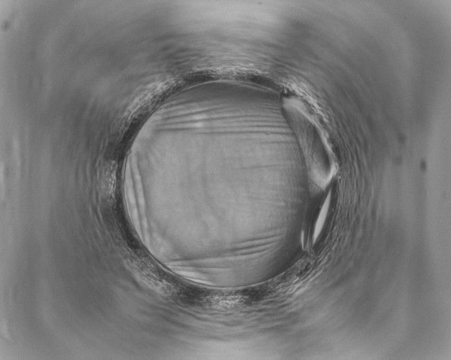 X0000086940495200705071422