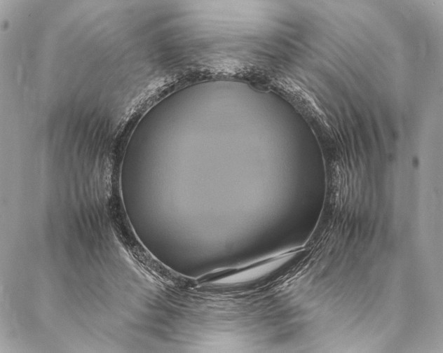 X0000086940496200705071422