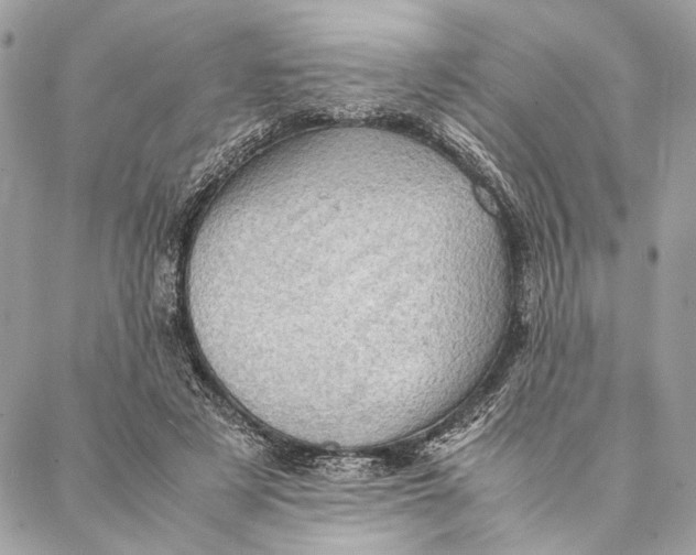 X0000086940497200705071422