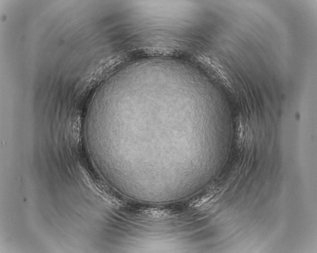 X0000086940498200705071422