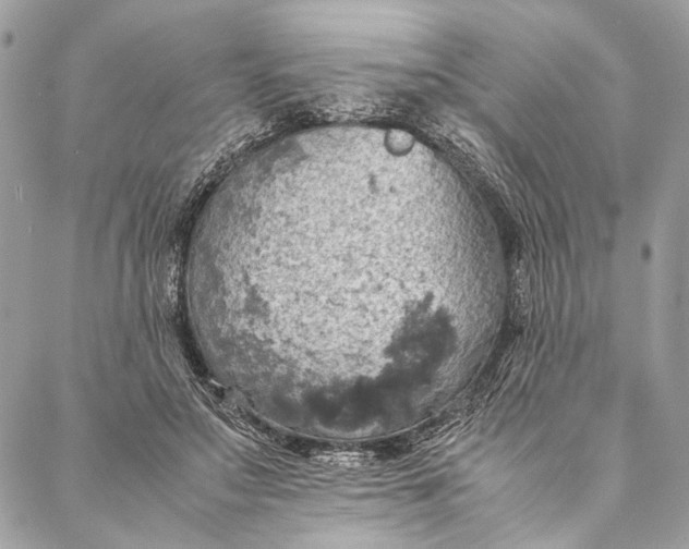 X0000086940499200705071421