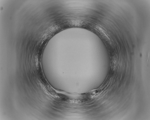 X0000086940500200705071421