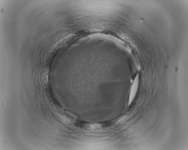 X0000086940501200705071421