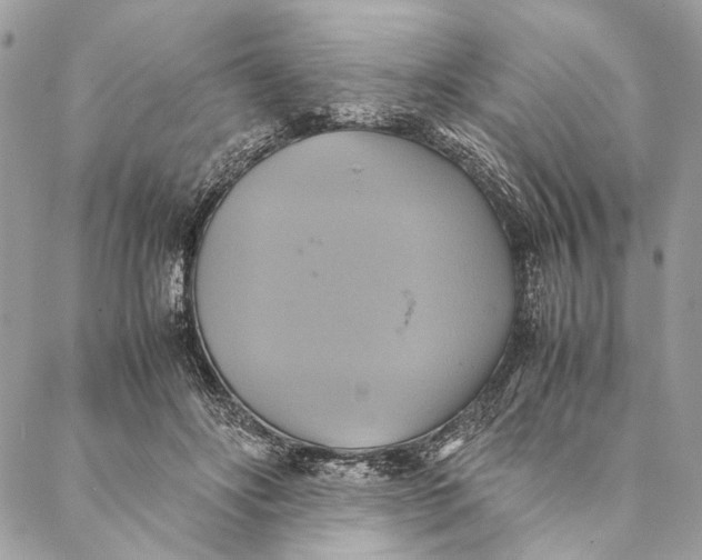 X0000086940502200705071421