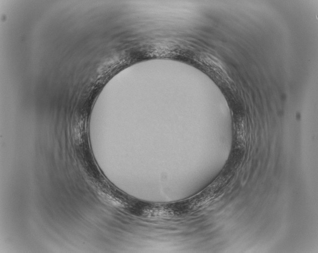 X0000086940503200705071421