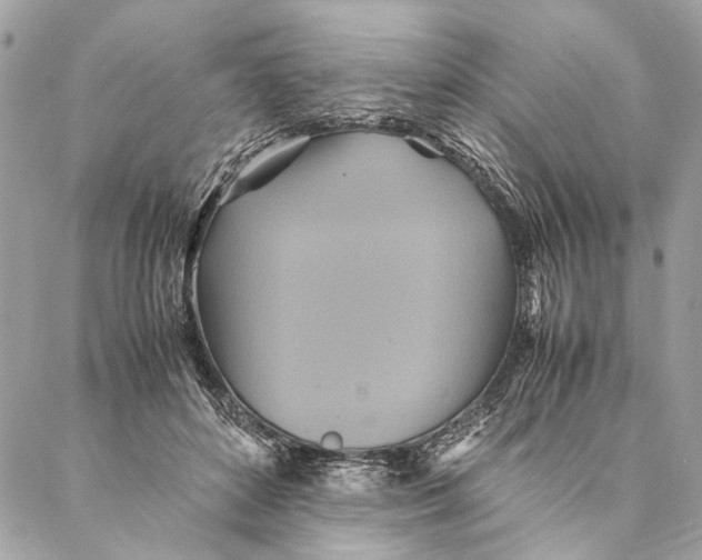 X0000086940504200705071421