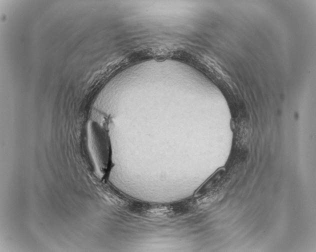 X0000086940505200705071421