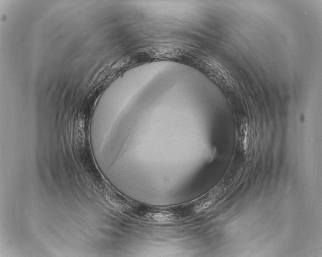 X0000086940506200705071421