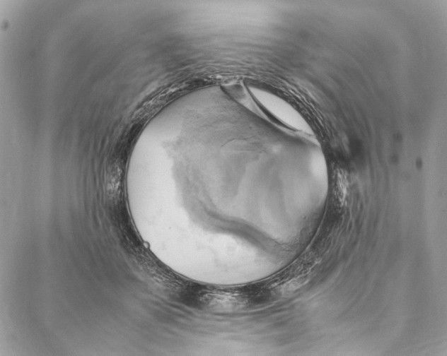 X0000086940507200705071421