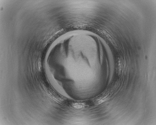 X0000086940508200705071421