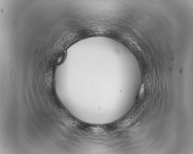 X0000086940509200705071421