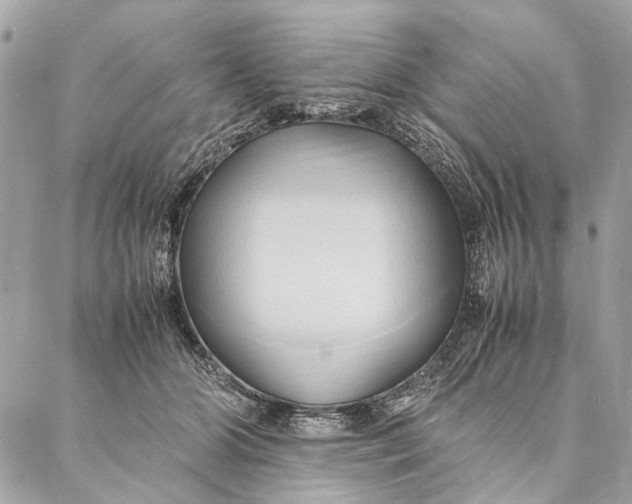 X0000086940510200705071421