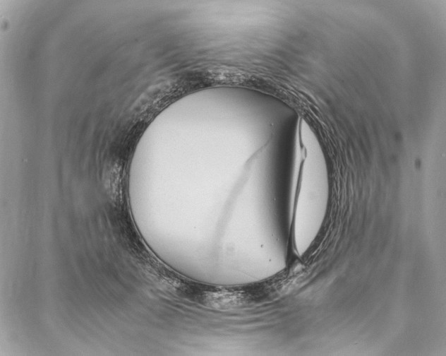 X0000086940511200705071421