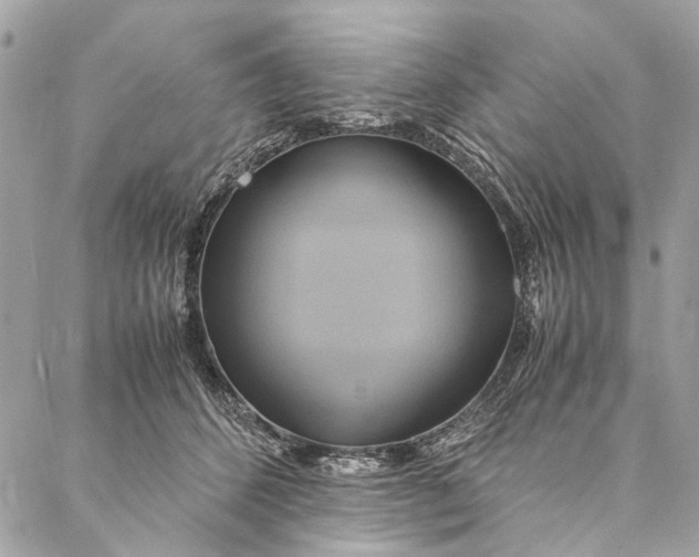 X0000086940512200705071421