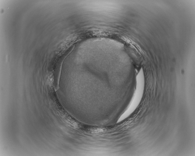 X0000086940513200705071421