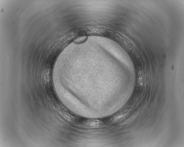 X0000086940514200705071421