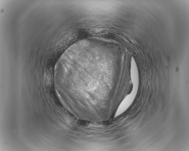 X0000086940515200705071421