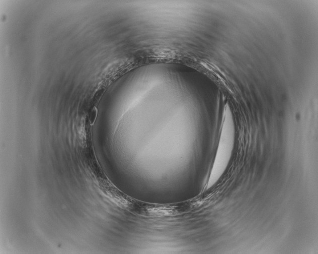 X0000086940516200705071421