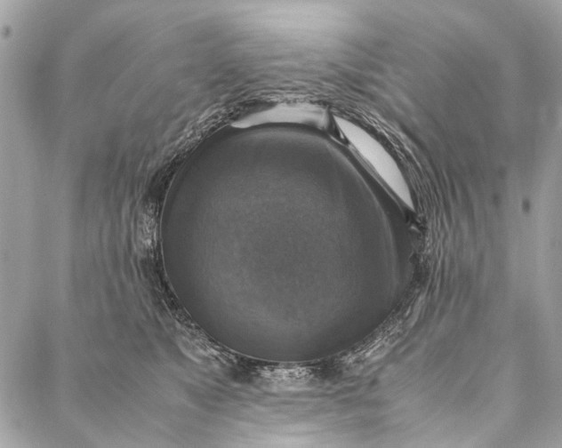 X0000086940517200705071421