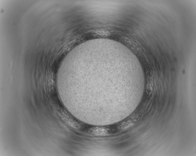 X0000086940518200705071421