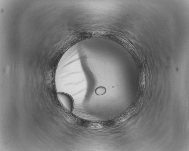 X0000086940519200705071421