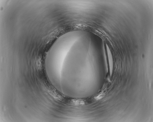 X0000086940520200705071421