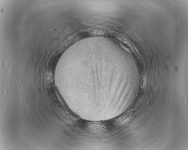 X0000086940521200705071421