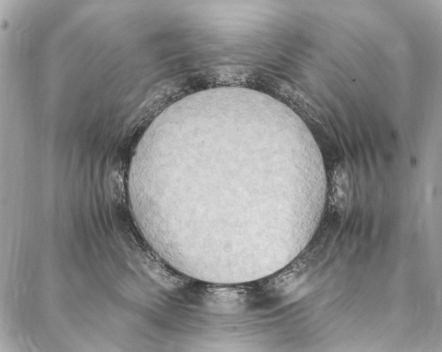 X0000086940522200705071421