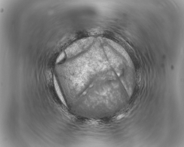 X0000086940523200705071421