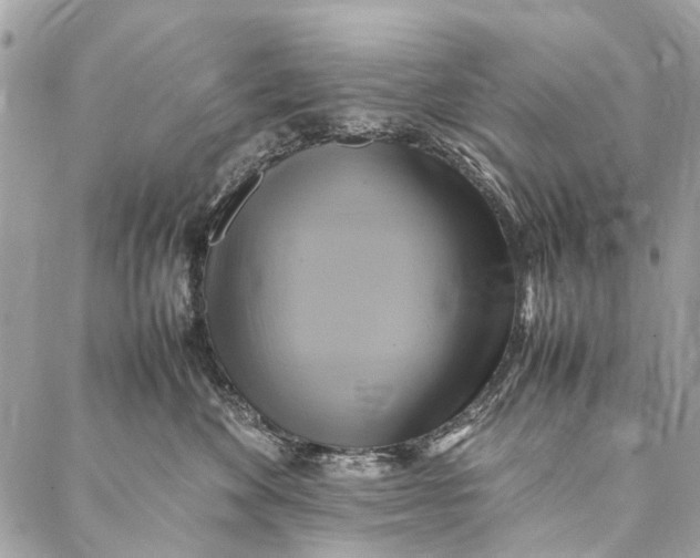 X0000086940524200705071421