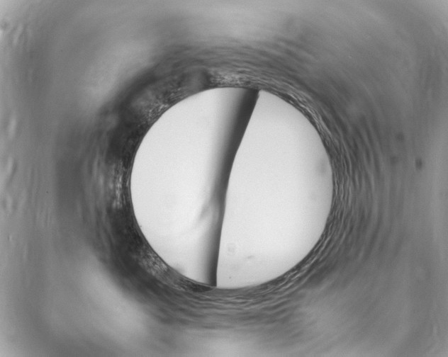 X0000086940525200705071421