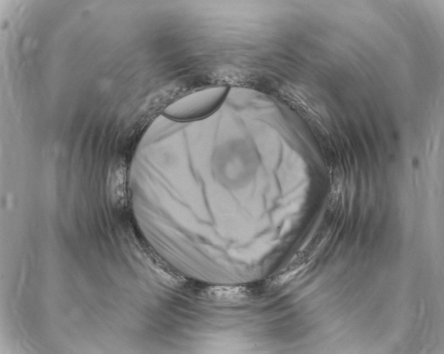 X0000086940526200705071421