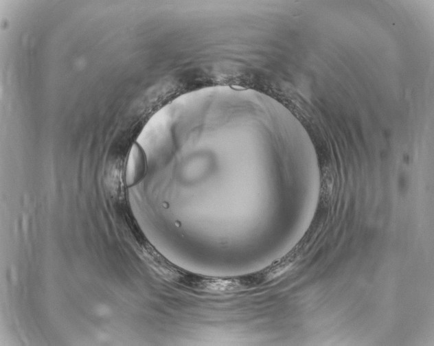 X0000086940527200705071421