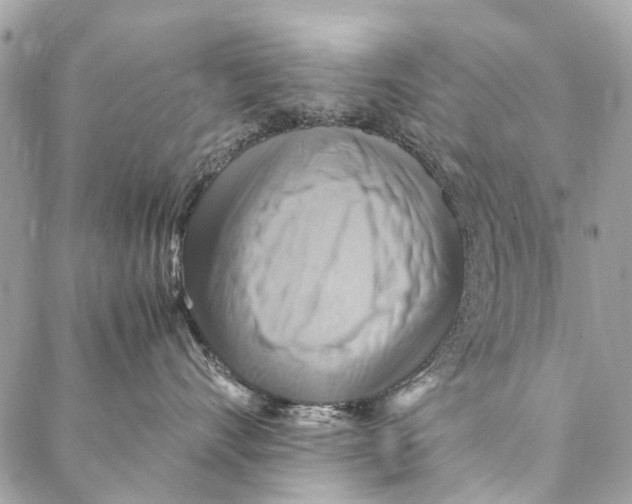 X0000086940528200705071421