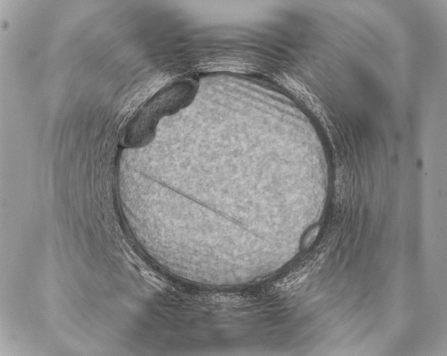 X0000086940529200705071420