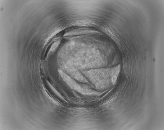 X0000086940530200705071420