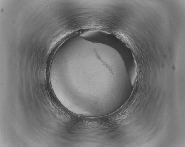 X0000086940531200705071420