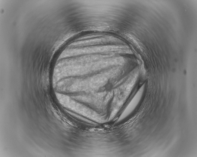 X0000086940532200705071420