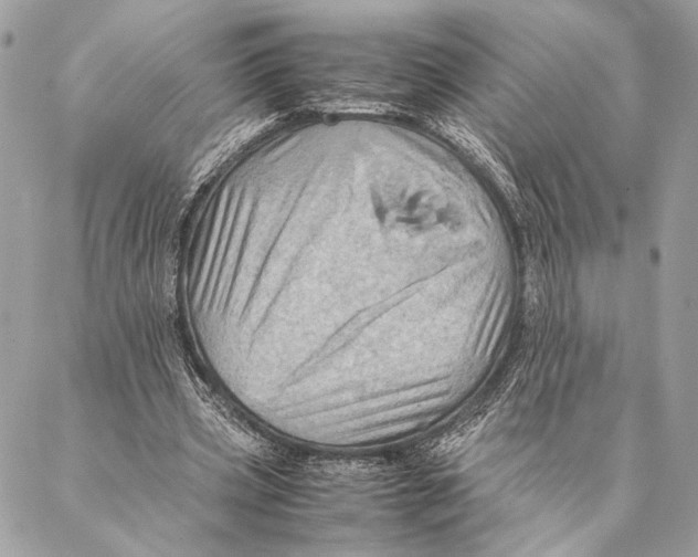 X0000086940533200705071420