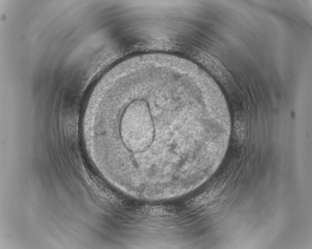 X0000086940534200705071420