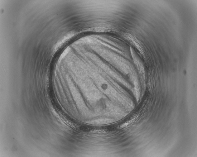 X0000086940536200705071420