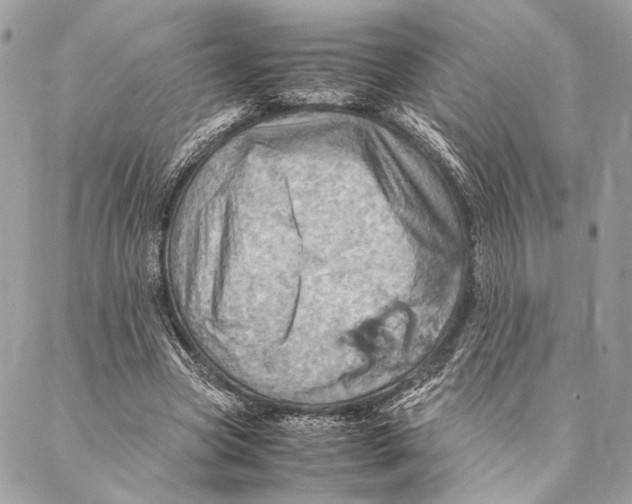 X0000086940537200705071420