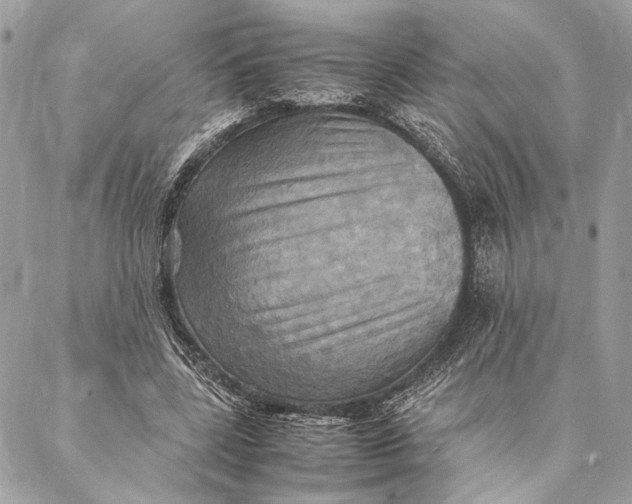 X0000086940539200705071420