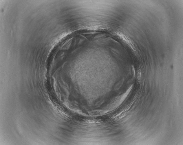 X0000086940540200705071420