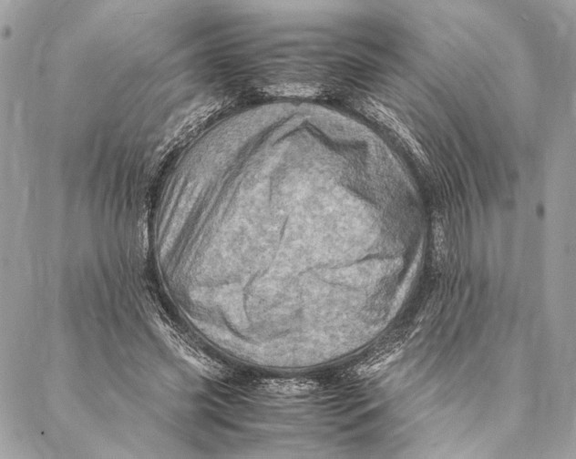 X0000086940541200705071420