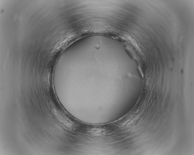 X0000086940542200705071420