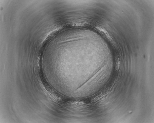 X0000086940543200705071420