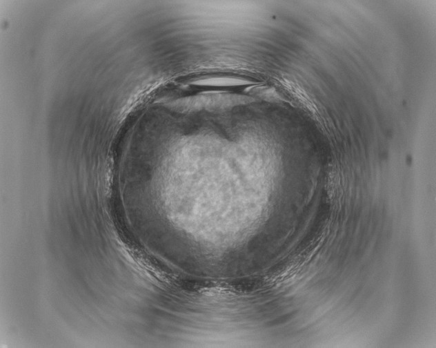 X0000086940544200705071420